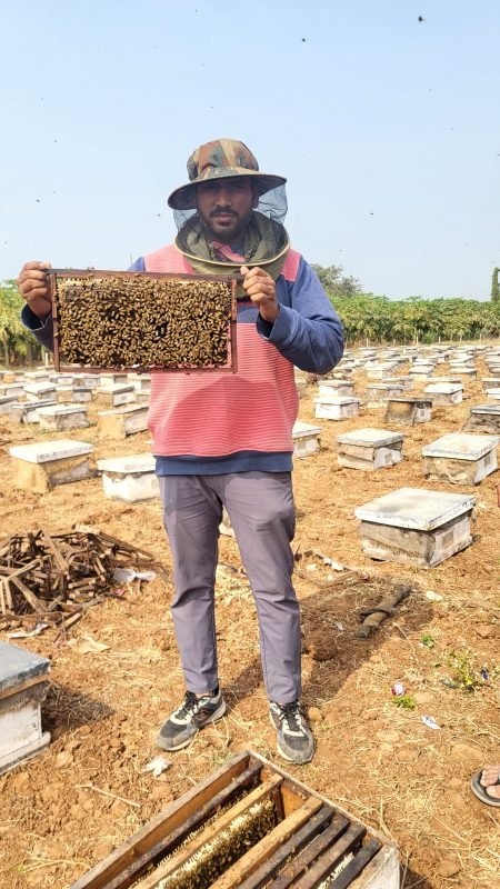 Sattvanik Honey